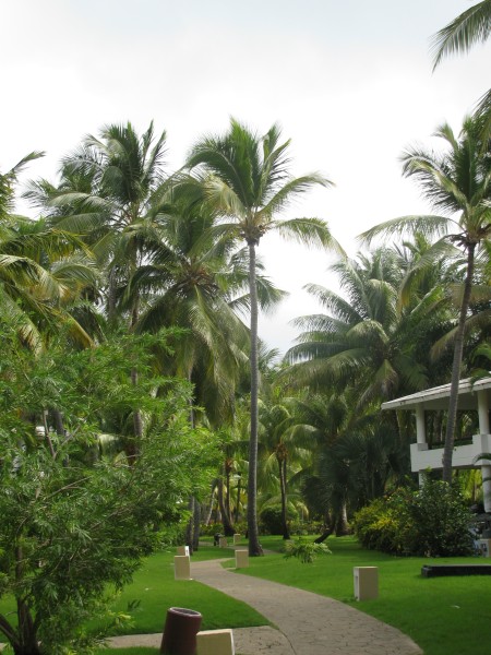 Dominican Republic 362.jpg